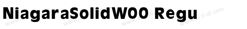 NiagaraSolidW00 Regu字体转换